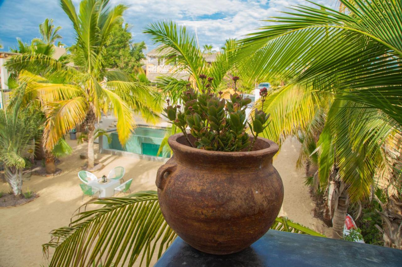 Pure Baja Private Suites-Upscale Property With Infinity Pool And Lush Gardens El Pescadero  Dış mekan fotoğraf